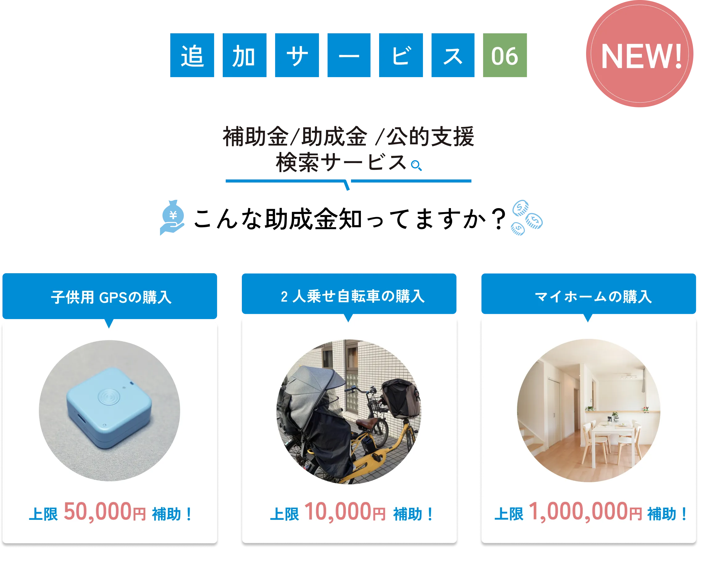 
            追加サービス06（NEW!）
            補助金/助成金/公的支援検索サービス
            